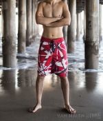 van halen swim trunks
