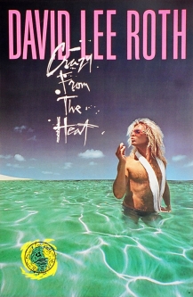 'Crazy From The Heat' Poster